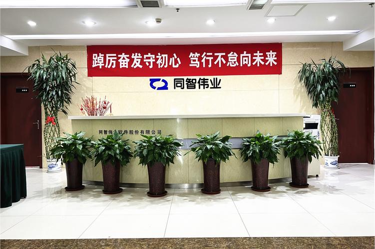 同智伟业软件股份
