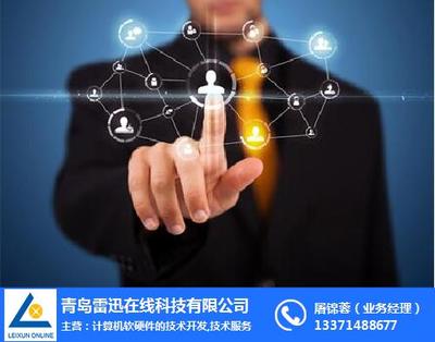 天助易站通与雷迅在线 从计算机软硬件开发到一体化在线咨询服务